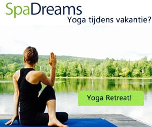 spadreams yoga banner