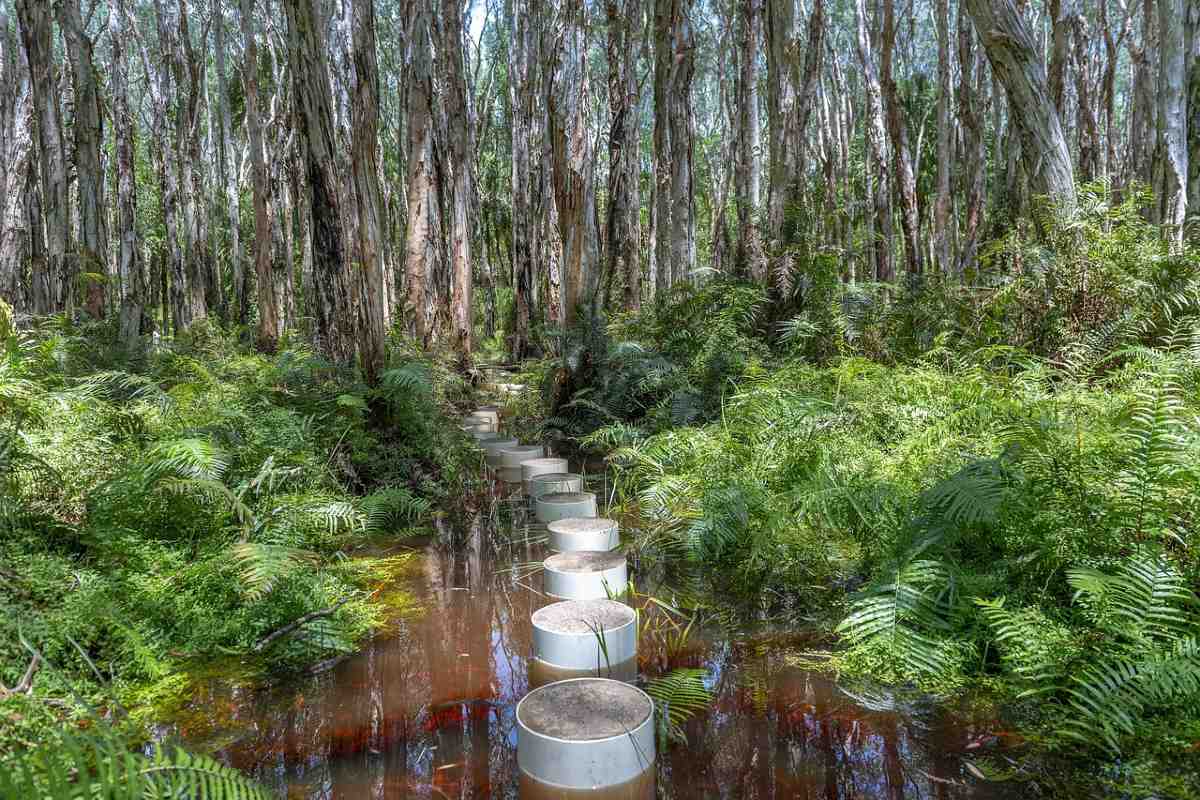 groepsreis Australië Agnes water