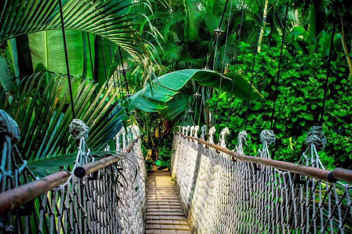 hangbrug Thailand
