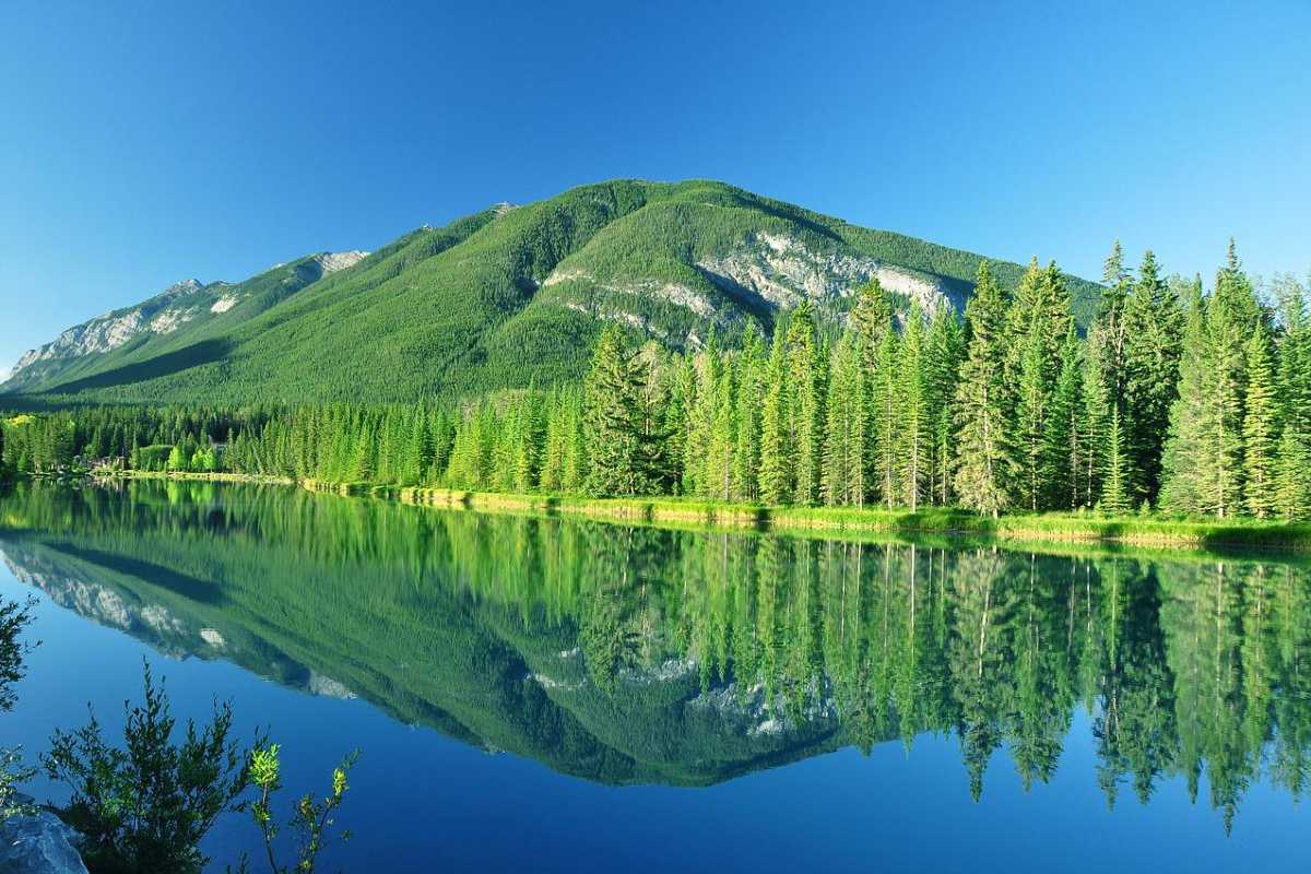 Banff National Park