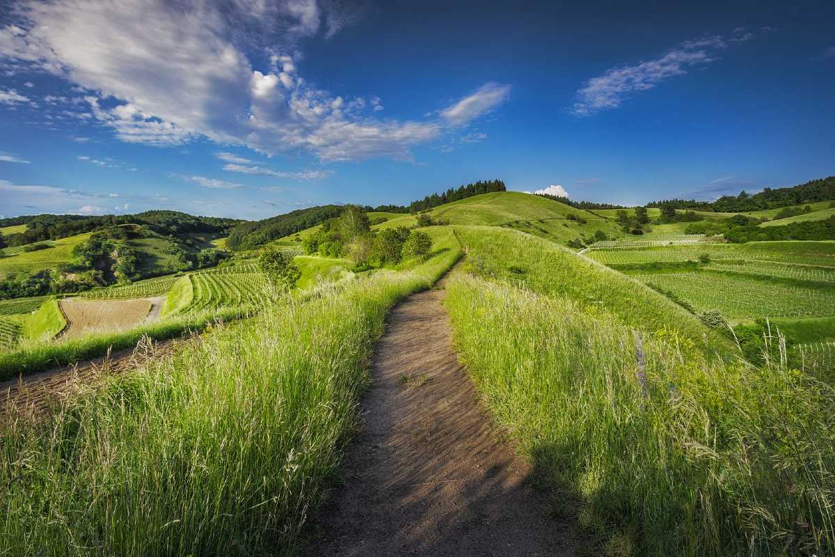 Grasslands Canada