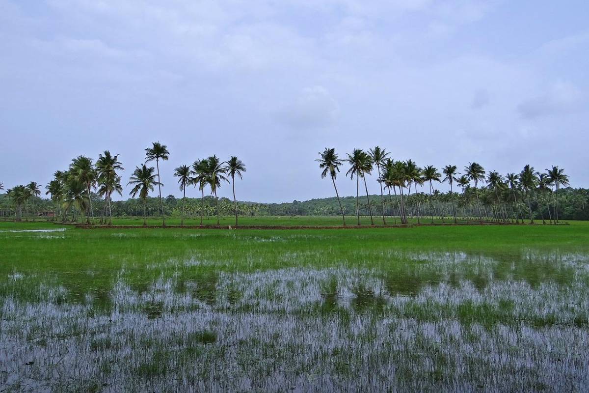 laagland India GOA