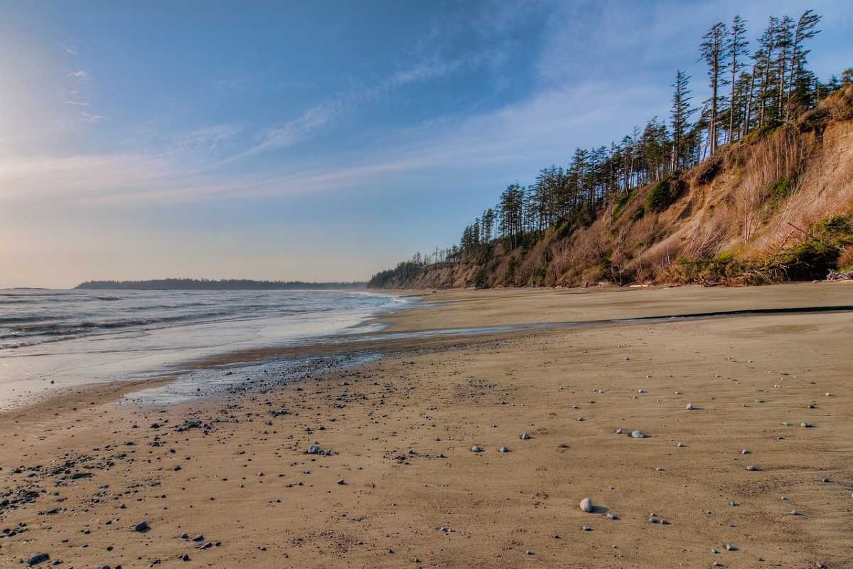 Pacific Rim Canada