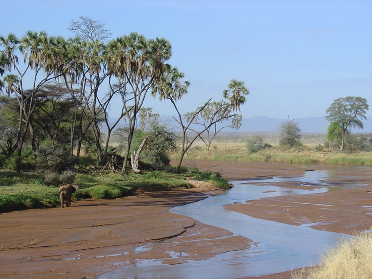Avontuurlijke safari groepsreis 