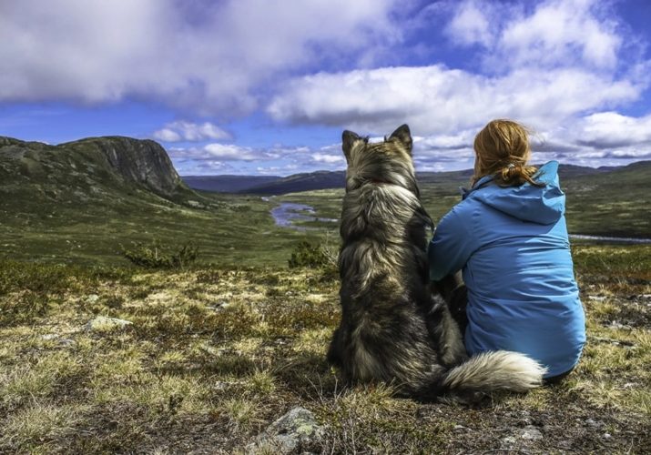 groepsreis-met-hond